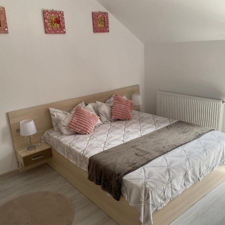 Rebeca Apartament Lugoj Exterior foto